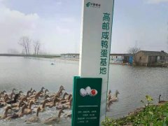 2026年罗氏虾工厂技术哪家强?对比五大罗氏沼虾养殖综合实力